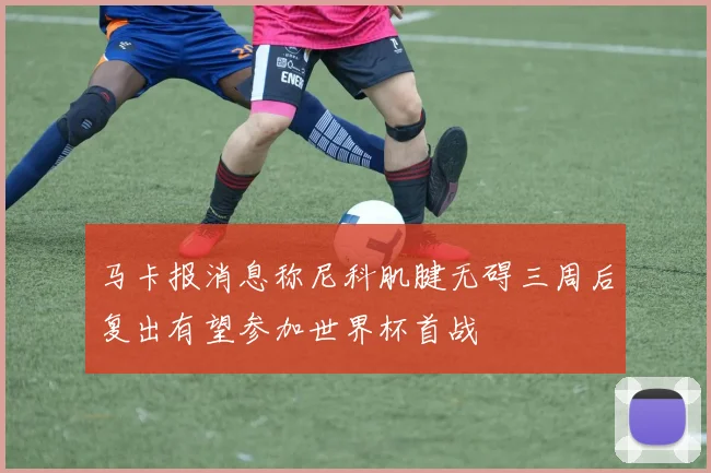 马卡报消息称尼科肌腱无碍三周后复出有望参加世界杯首战